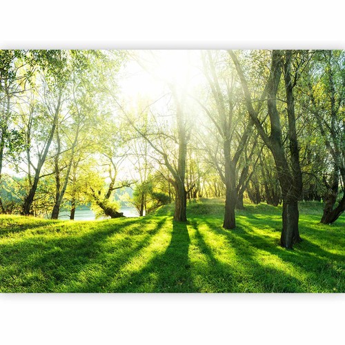Wald landschaft vlies - wald,